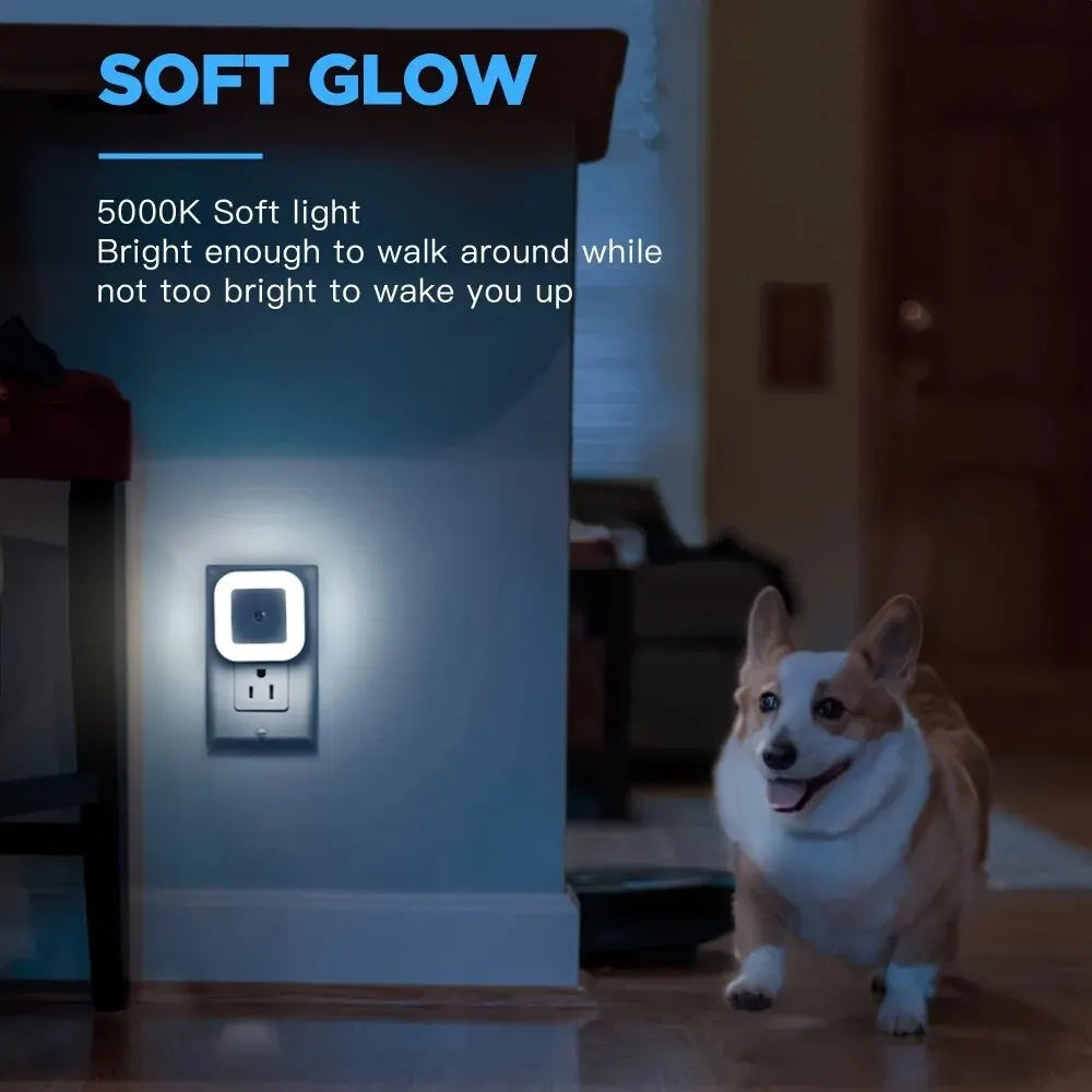 Intelligent LED Night Light With Motion Sensor Automatic Induction Lamp